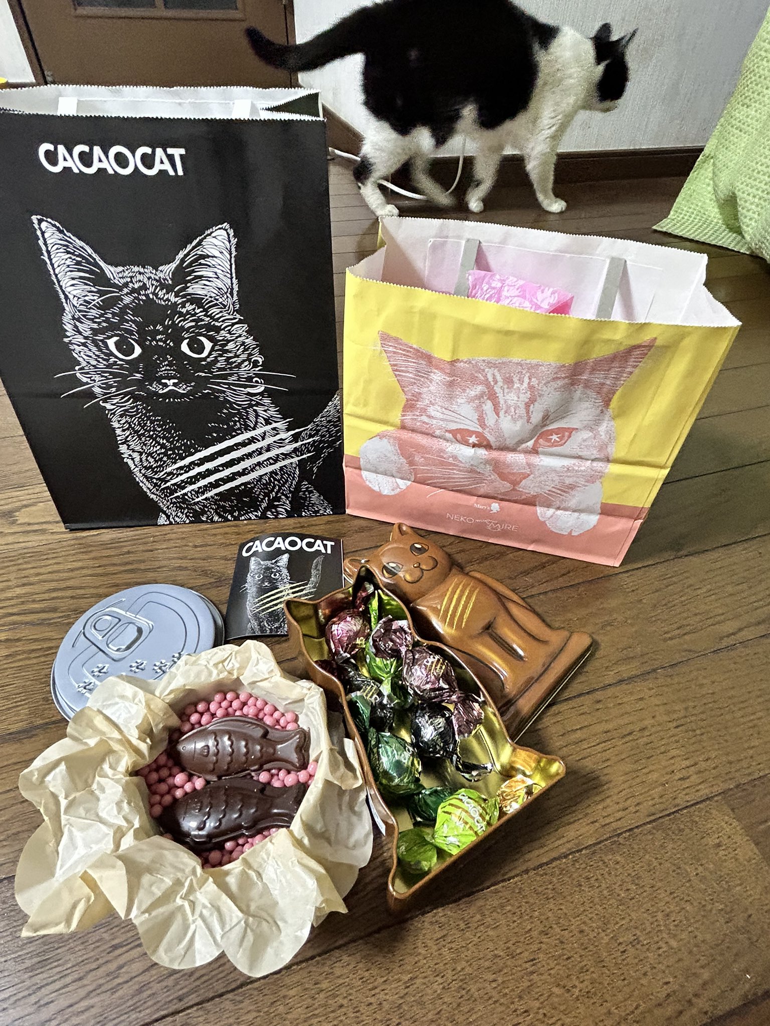 チョコ⭐️10月4日のみ⭐️純金リンパセット❣️ 猫缶チョコレート – търсене / X