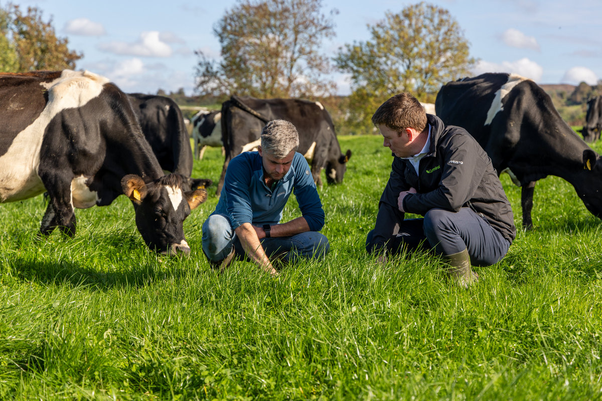 Diarmaid Fitzgerald is an Irish dairy farmer using clover to fix natural nitrogen in his soil, enabling him to almost halve his artificial nitrogen inputs. Learn how clover can support sustainable dairy production: germinal.ie/diarmaid-fitzg… #Dairy #farming #agriculture