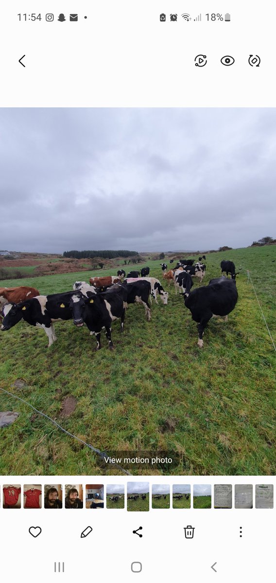 2pintpaddy's tweet photo. 18.4% of the farm grazed so far , first paddock that was grazed in mid January is showing nice bit of regrowths.
#SpringRotationalPlanner #GrassToMilk2024🇮🇪🐄 #WestCork🇮🇪🐄 @Drinaghagri https://t.co/Kco5LoKwDQ