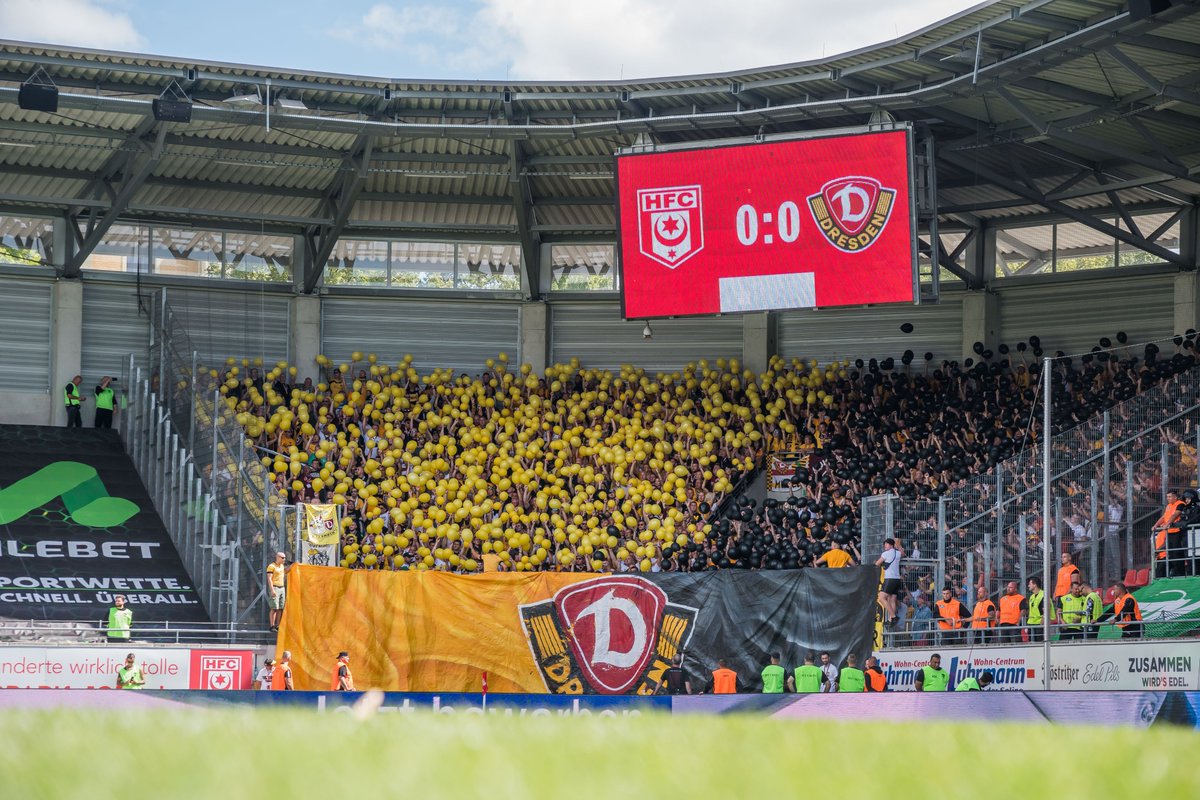 SG Dynamo Dresden tweet media