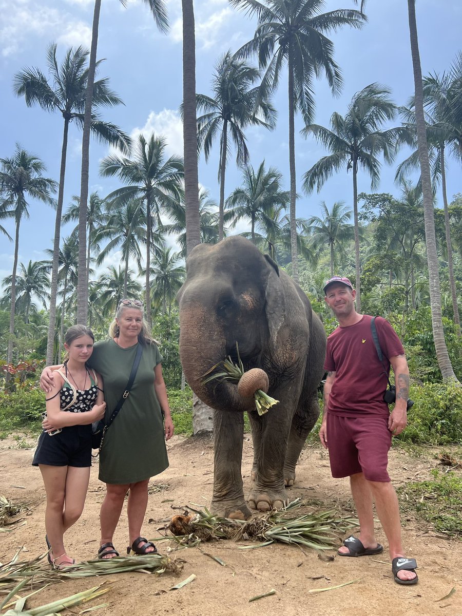 joolzmull's tweet photo. #traveling #thailand #islandhopping #mayabay #krabi #kohsamui #phiphiisland #chickenisland #kohpodaisland #kohtan and more https://t.co/BOu0SjRgBu