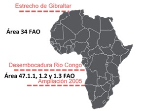 Somos el grupo del <a href="/IEOoceanografia/">Instituto Español de Oceanografía (IEO-CSIC)</a> encargado de estudiar las pesquerías del Atlántico centro-oriental, áreas 34 y parte de la 47 de FAO, conocida como área CECAF (Fishery Committee for the Eastern Central Atlantic).
