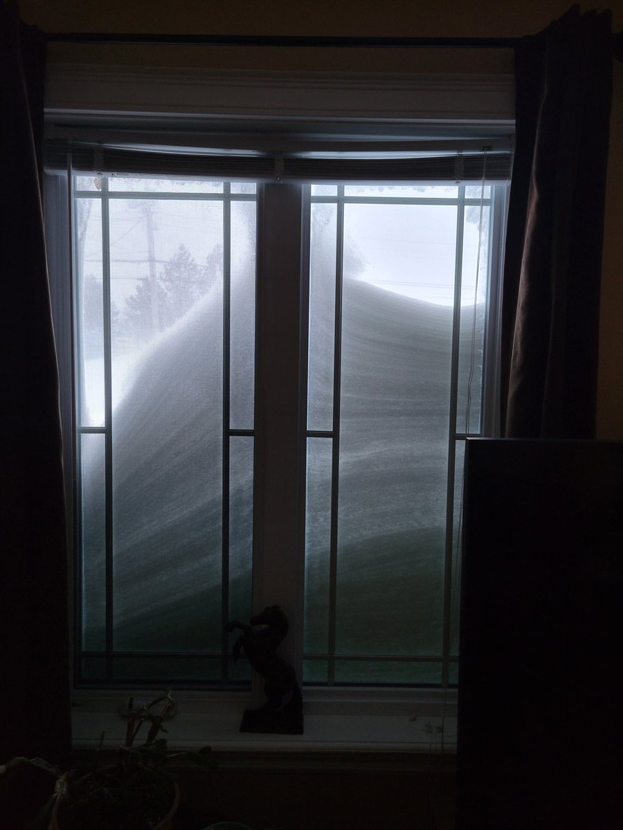 Waking up in Cape Breton to this again. Sigh. #NSStorm
