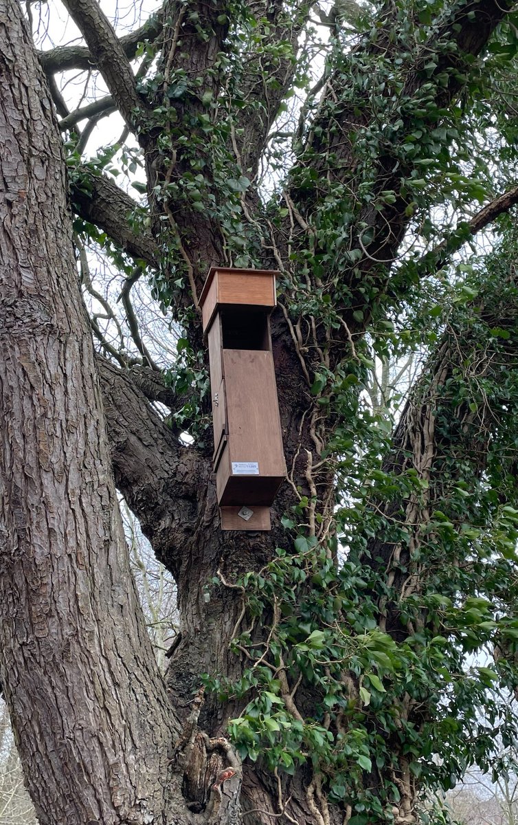 🌳Exciting news from Sculthorpe Moor, our rangers have been installing new boxes in Fakenham this week 🛠️. Stay tuned for updates! 🌿#FakenhamTownCouncil #SculthorpeMoor🦉