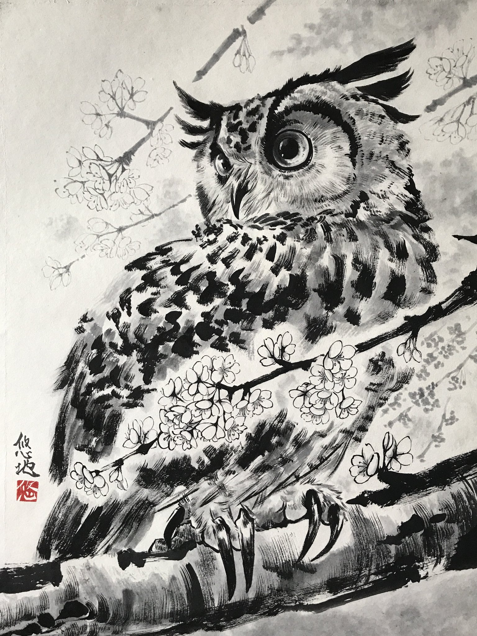 山谷悠地(ヤマヤ ユウチ) on X: 