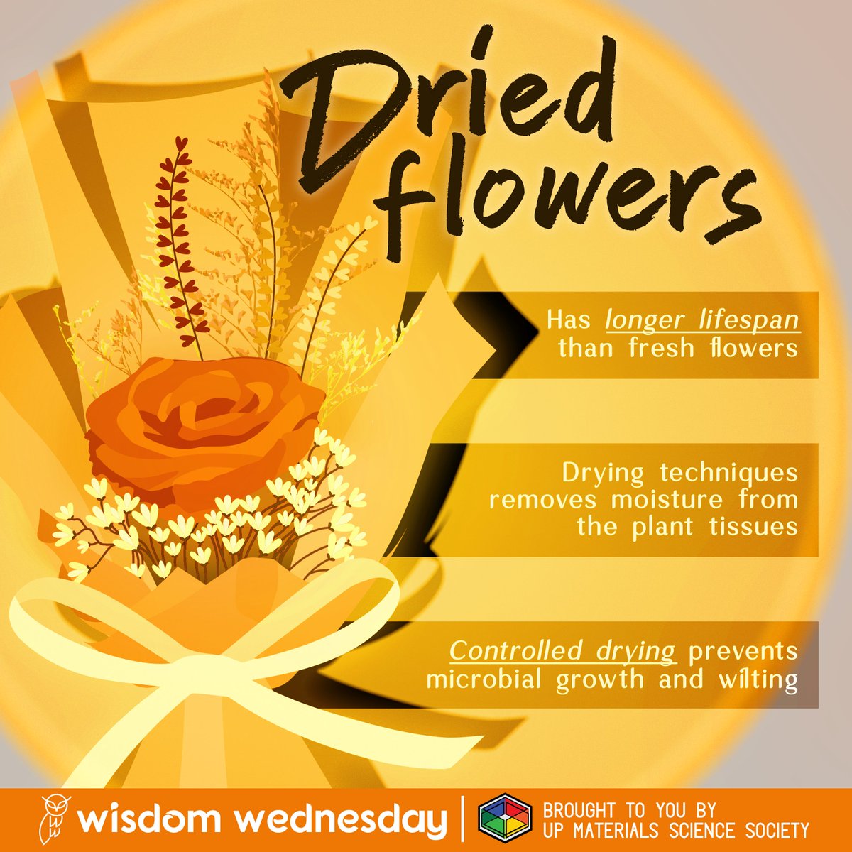 Walang forever? Not for this flower! 💐 Celebrate Valentine's Day by learning how dried flowers could last a long time in this week's Wisdom Wednesday! READ MORE: tinyurl.com/WW2324-29 #WisdomWednesday #MaterialsScience #ValentinesDay2024 #DriedFlowers