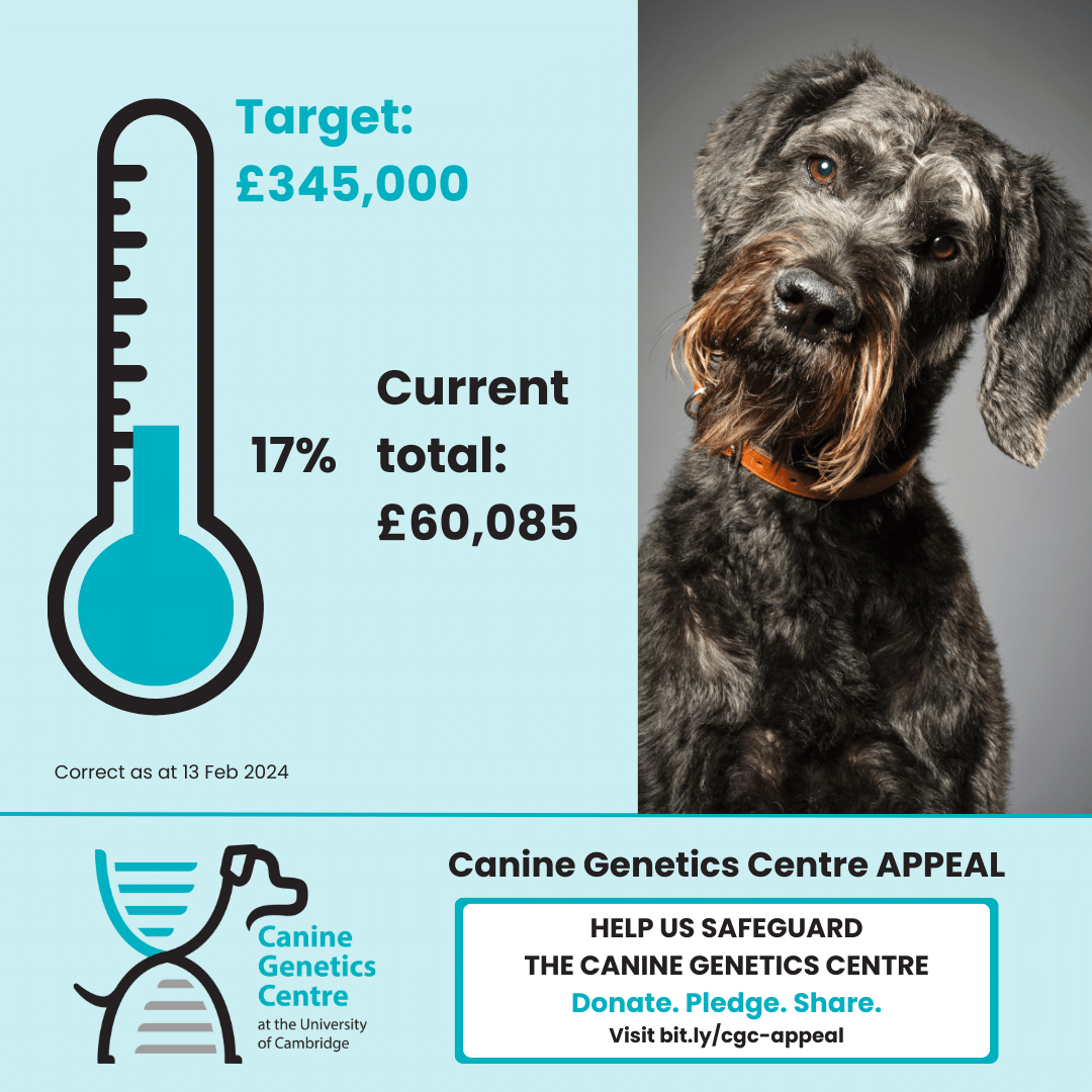 Canine Genetics Centre at University of Cambridge tweet media