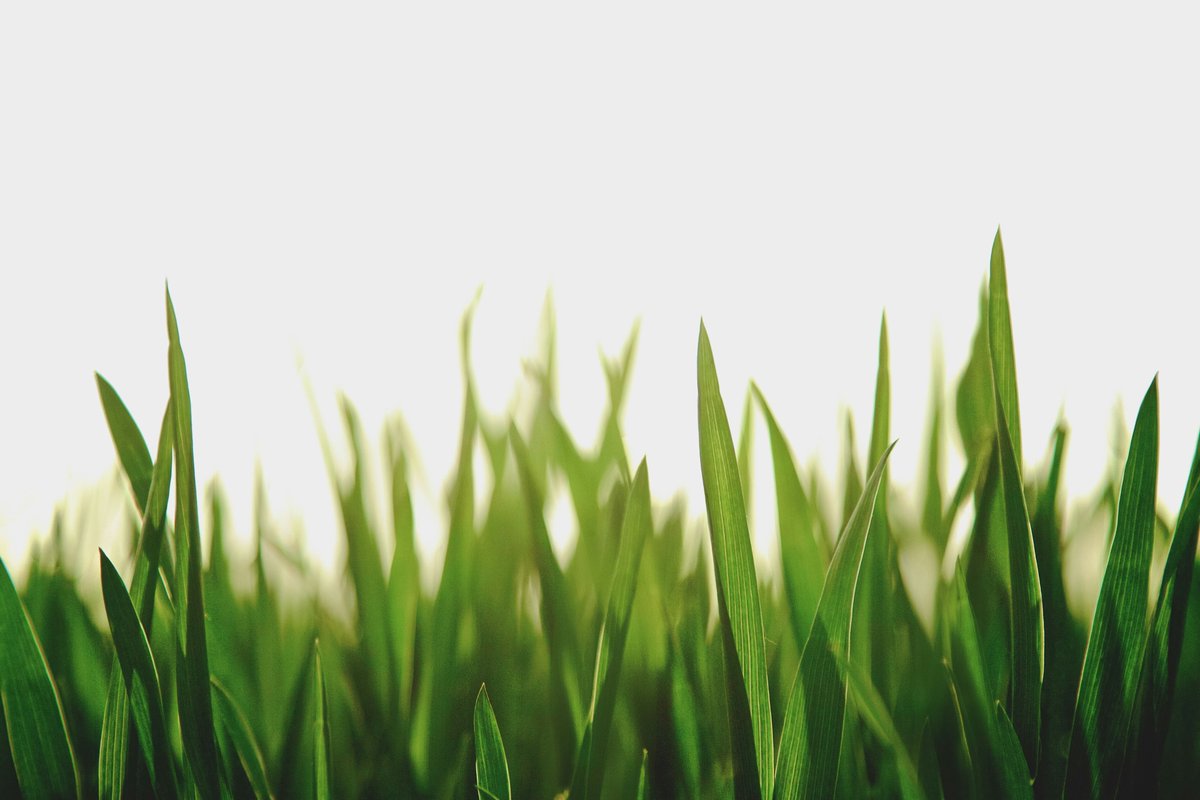 🌟🌱Fully funded #PhD opportunity in Lawn Grass #MFC for clean energy harvesting. UK applicants only.🔍 Explore plant-based energy solutions 🌿 Hands-on research in #CleanEnergy generation 🌍 Make a real impact on #sustainability jobs.ac.uk/job/DFH260/phd…