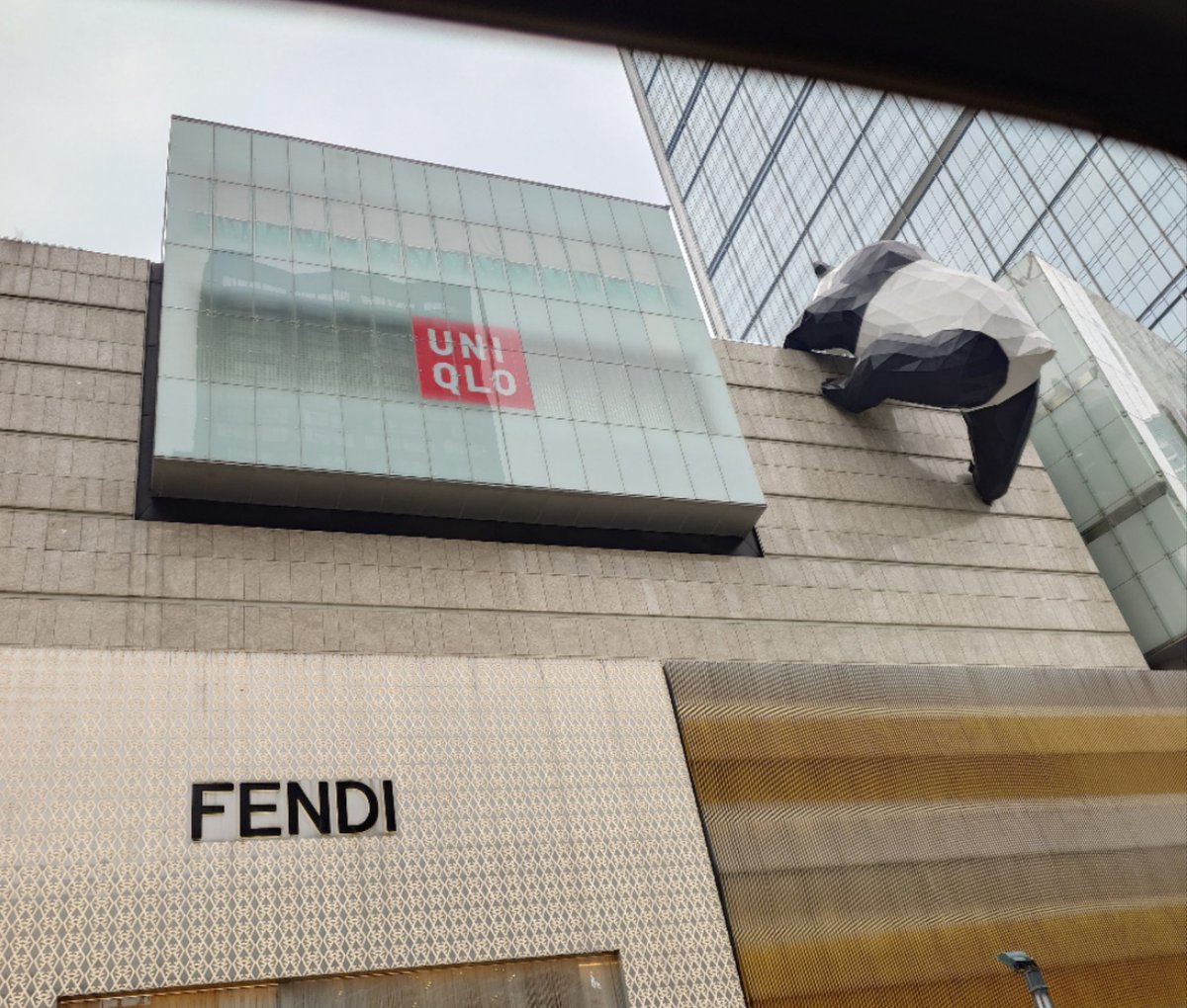 fck561's tweet photo. よじ登るぞ！やったぞ！パンダ？ https://t.co/75gmXfwWd0
