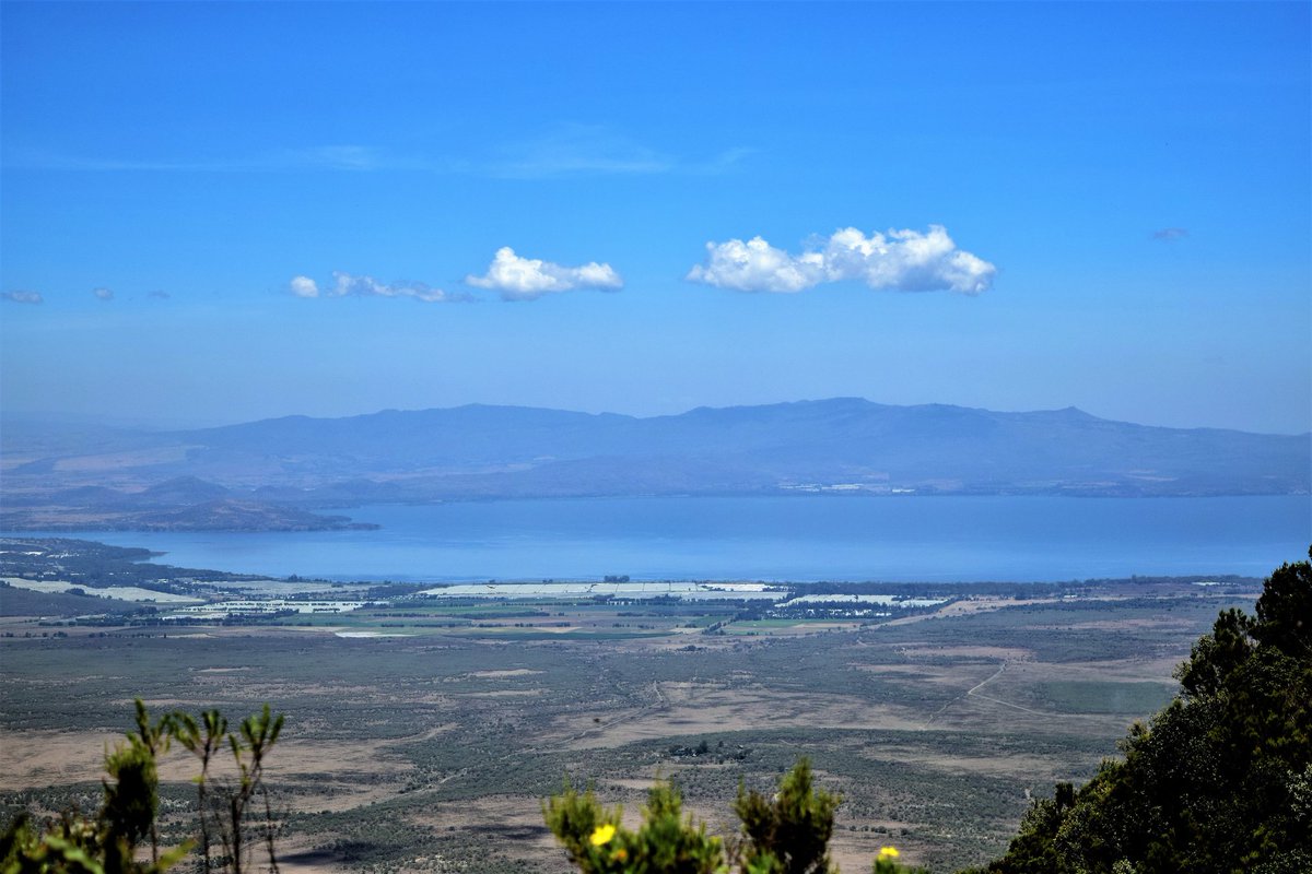 Millions of flowers will be exchanged today worldwide. A significant chunk will have come from Naivasha. 

The fresh lake water, volcanic soil from nearby Mt. Longonot, elevation (1900m), sunshine ☀️and proximity to Nairobi have made Naivasha the floriculture capital of Kenya 🌹