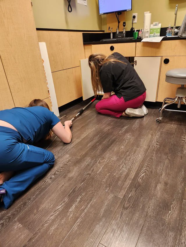 Harrison Heth tweet media