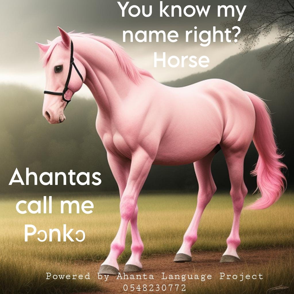 AhantaSpace's tweet photo. DID YOU KNOW?
HOW IS IT CALLED IN YOUR NATIVE LANGUAGE?
#ProjectAhanta
#Ourlanguageouridentity
#LearnAhanta https://t.co/xWqPlfsoFN