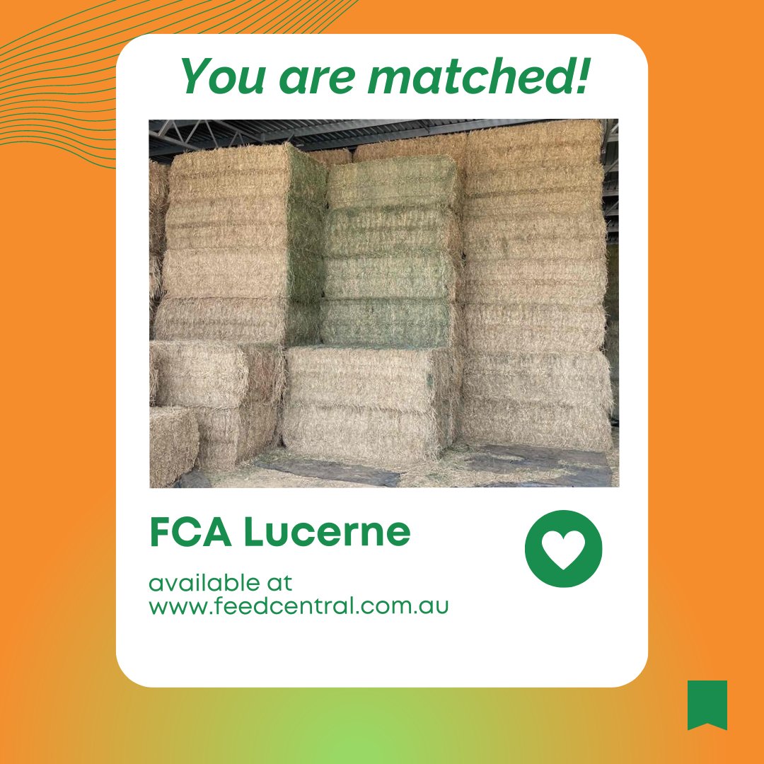 Do your livestock need some love this Valentine's Day? Find their perfect hay match using the Feed Central search at feedcentral.com.au!