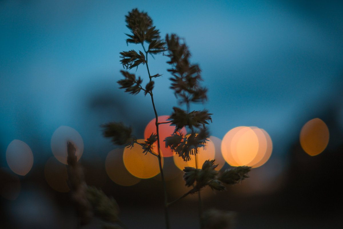 brokenchip's tweet image. 📷 #fujifilm X-T5
Fuji #XF 35mmF1.4