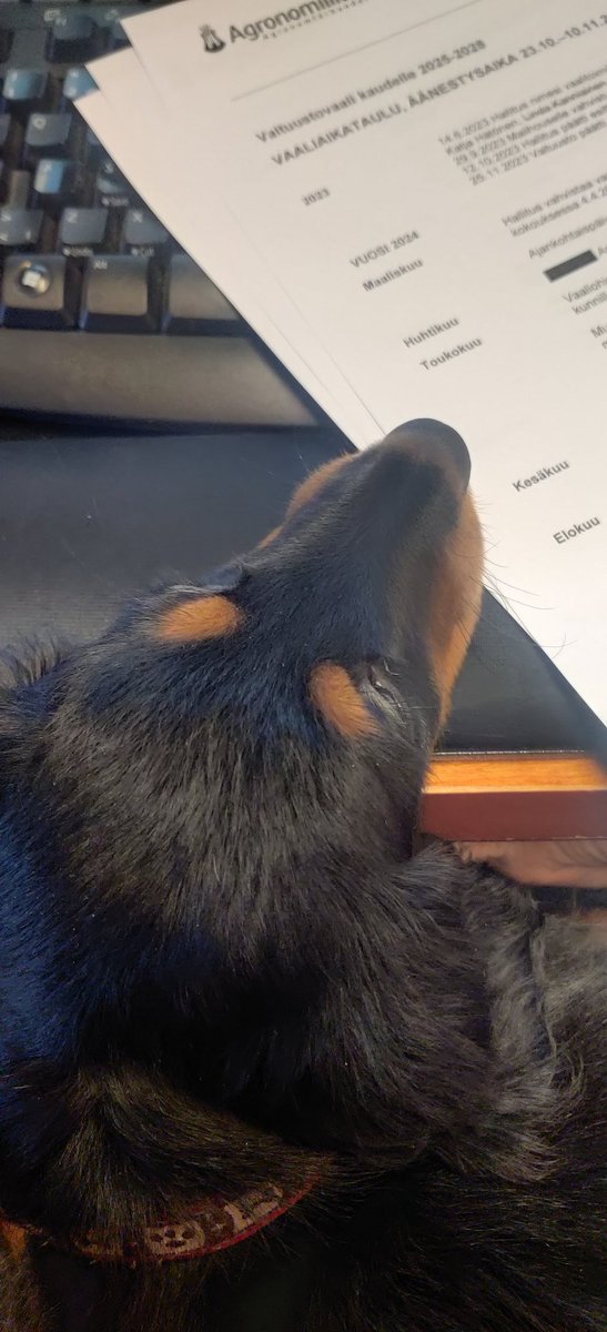 MallaAhonen's tweet photo. @agronomiliitto:n vaalivuosi! Uuden toimistopäällikön kanssa pureskellaan aikataulutusta 🗓️ 🦴 https://t.co/9YAnPtI2rA