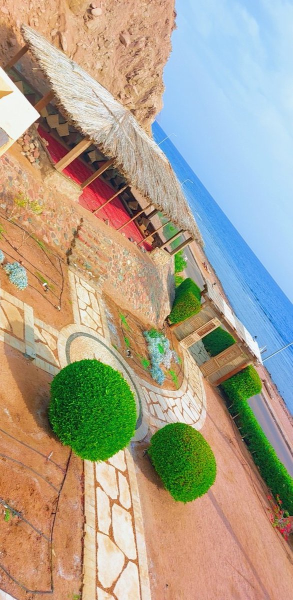 صباح الخير .. بمناسبة الحب والمحبين خذوا مني خبرات السنين ..خبرات من تعيش في سنوات الخمسين  .
الحب ليس بالأيام ولا بالسنين .. وليس فقط لأثنين متحابين .. اسمحوا لي أن أعطيكم من خبرات السنين .. الحب أصدقه حب الوالدين وأقوى حب هو حب الأخوين .. وحب أمانة تجده عند الزوجين .. وجمال