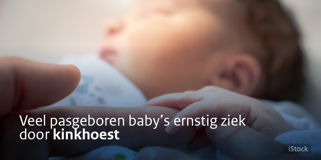 Het aantal #baby’s dat ernstig ziek is door #kinkhoest is vooral snel toegenomen in gebieden met een lage vaccinatiegraad, zoals de Biblebelt. Wij roepen mensen die hoesten en snotteren op om contact met hoogzwangeren en pasgeboren baby’s te vermijden. ➡️rivm.nl/nieuws/veel-pa…