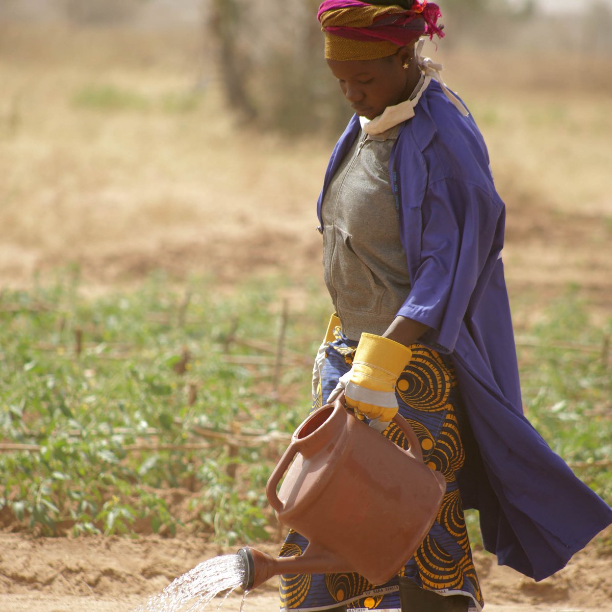 RET Germany e.V. tweet media