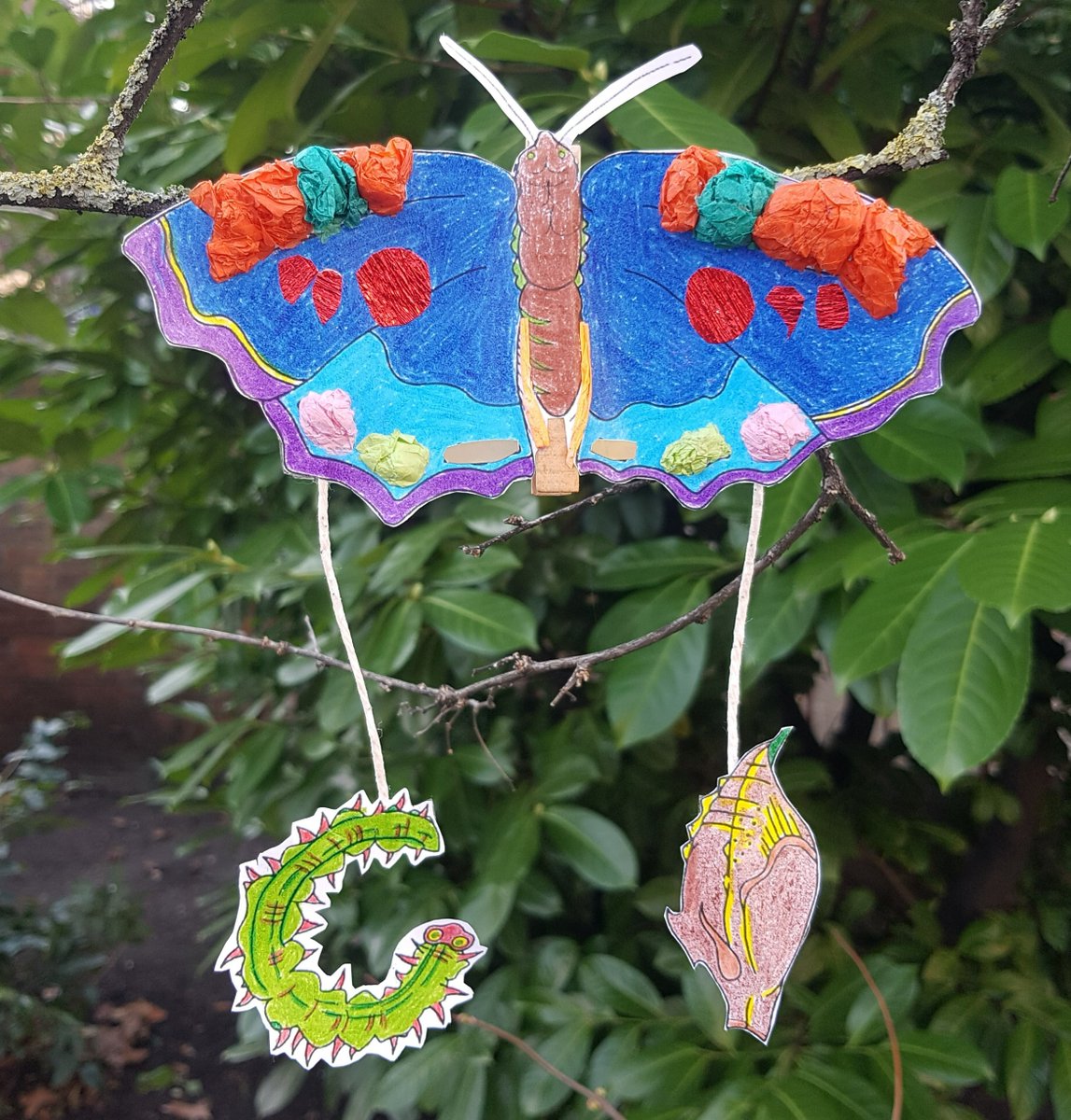 readingmuseum's tweet photo. Don't miss our drop in Make & Take at Reading Museum today!
Enjoy making a Clip on Creature: Life Cycle of a Butterfly: https://t.co/rlJsUpggnu
#RDG #RDGUK #FebruaryHalfTermFun #LoveGreenReading https://t.co/AEGi47FMp2