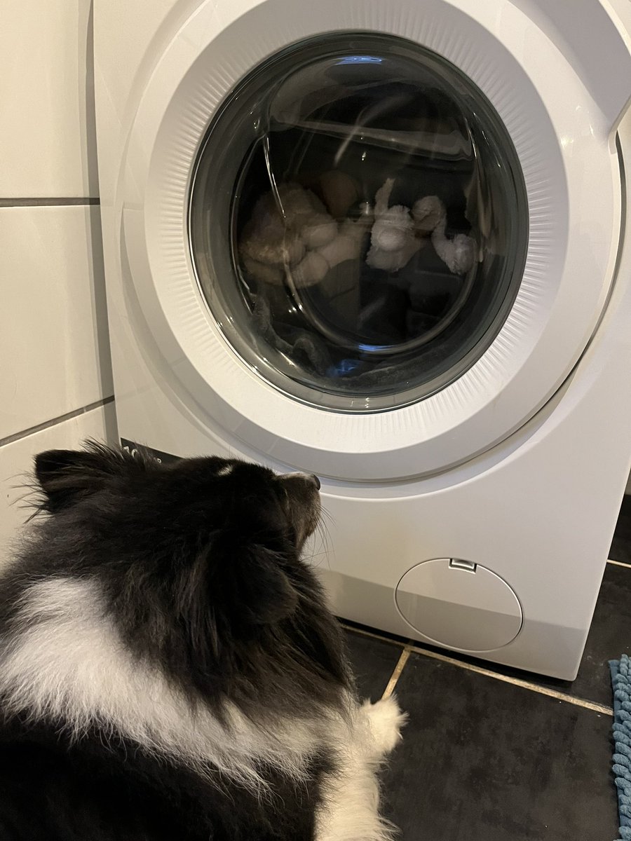 Wanneer je lievelingsknuffels echt even in de wasmachine moeten..