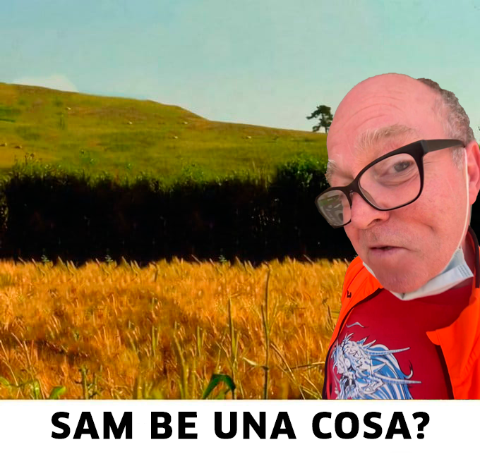 adirecto's tweet image. 