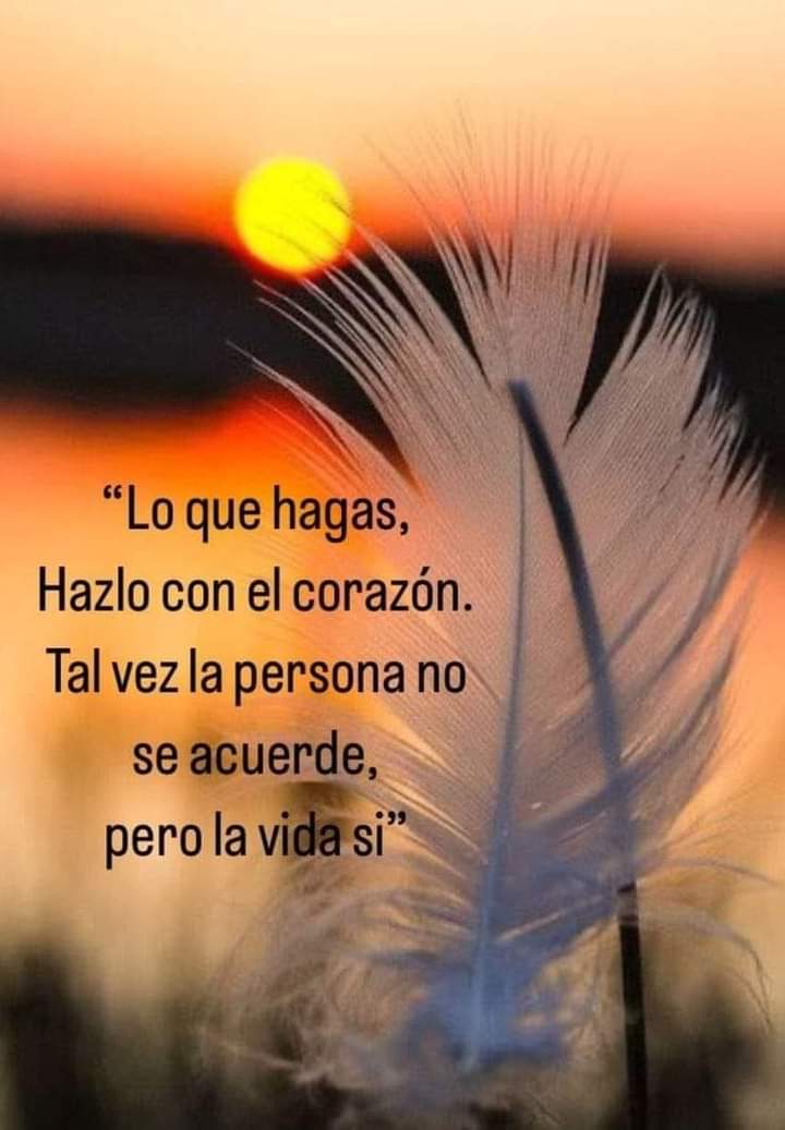 VidaEquilibrad4's tweet photo. https://t.co/xr2Zq6iH1w