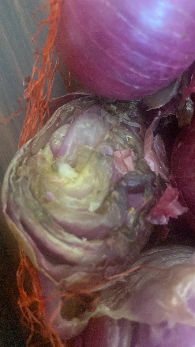 chetan9907's tweet photo. @Swiggy @SwiggyInstamart Why do u sell rotten onions ???

And charge us for it ?

This is very bad can’t ur employees check it before sending it for the mart ? 

@fda_goa https://t.co/k3fNLxu159