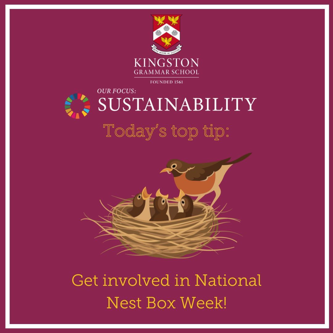 The Kindness Council tweet media