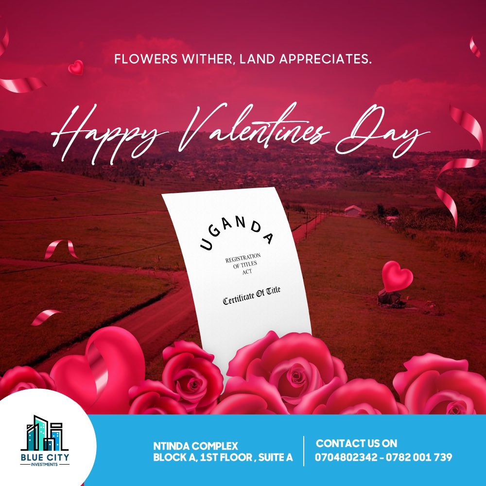 Blue City Investments tweet media