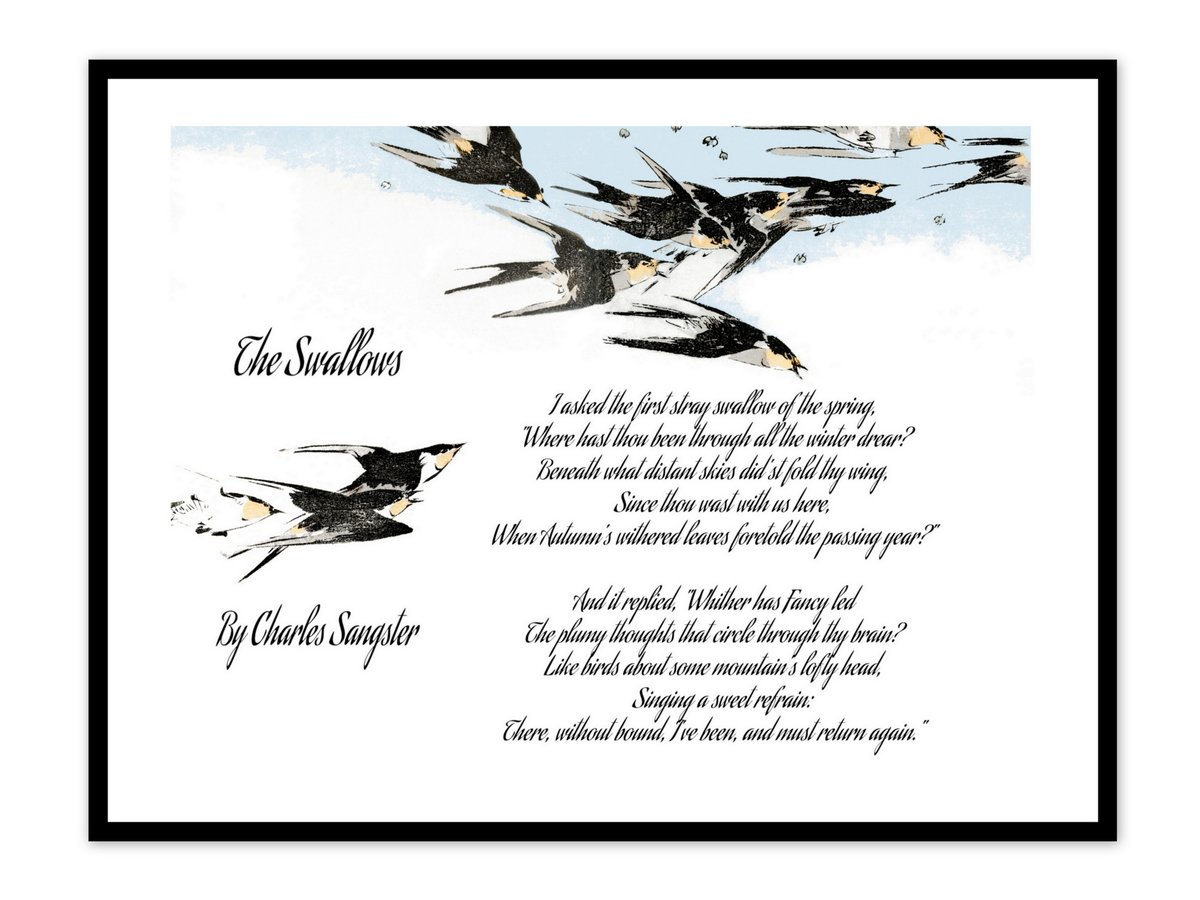 Poetry Wall Art 🪶 The Swallows Poem Poster. This image is on many items in my shop, get it at:  
fineartamerica.com/featured/poetr…
#MoonWoodsShop #ArtForSale #AYearForArt #BuyIntoArt #GiveArt #FillThatEmptyWall #easter #posterdesign #Spring  #PoemADay  #Literature