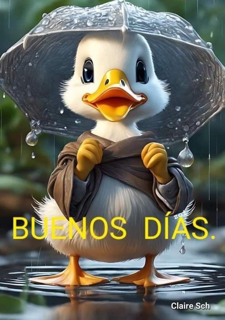 #FelizMiercoles #miercoles #pato #felizdia #ValentinesDay #goodmorning #morning #duck #fineromance #crush #LoversDay 🥰💋