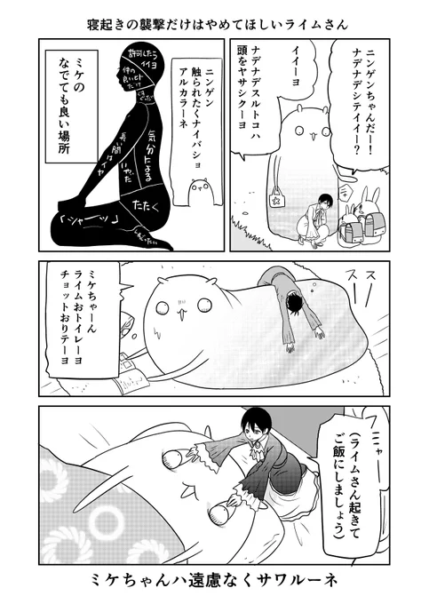 異世界に行ったら謎の生物に可愛がられた話 35話③ライムさん「きっとミケちゃんが懐いてくれてるショーコヨー」#異世界に行ったら謎の生物に可愛がられた話 