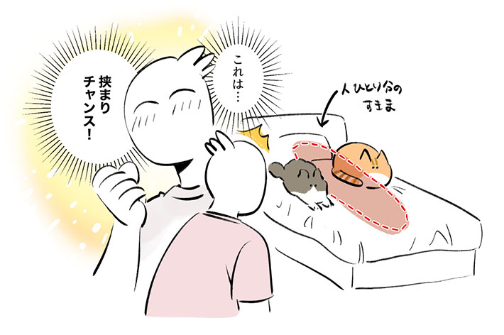 すれ違う猫と飼い主を描いた漫画に「あるある!」の声 https://t.co/Z6OSVVr6u5 @grapeejpより 