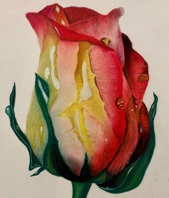 Que tal va el #amor? Ya os queréis lo que os merecéis? Si no vais a recibir abrazos… os regalo mi dibujo a pastel.
PD: No tiene aroma pero tampoco espinas.

#art  #artist #flower #rose #rosa #artefloral #euskadi #dibujo #artefigurativo #love