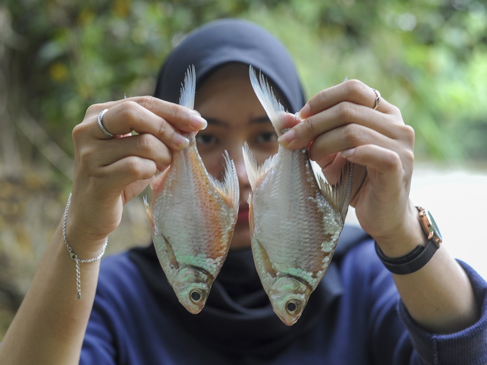 FONAP_DE's tweet photo. Das #FONAP-Mitgliederprojekt in #Indonesien unterstützt Dorfgemeinschaften beim Schutz ihres Flusses.
🔹30 Jugendliche sind der Flussschutz-Gruppe KOMPAS beigetreten.
🔹 Eine Studie ist in Arbeit.
🔹 Workshops über Flussschutz haben stattgefunden.
👉https://t.co/uOfrIyEVYj https://t.co/aodX0jGVeR