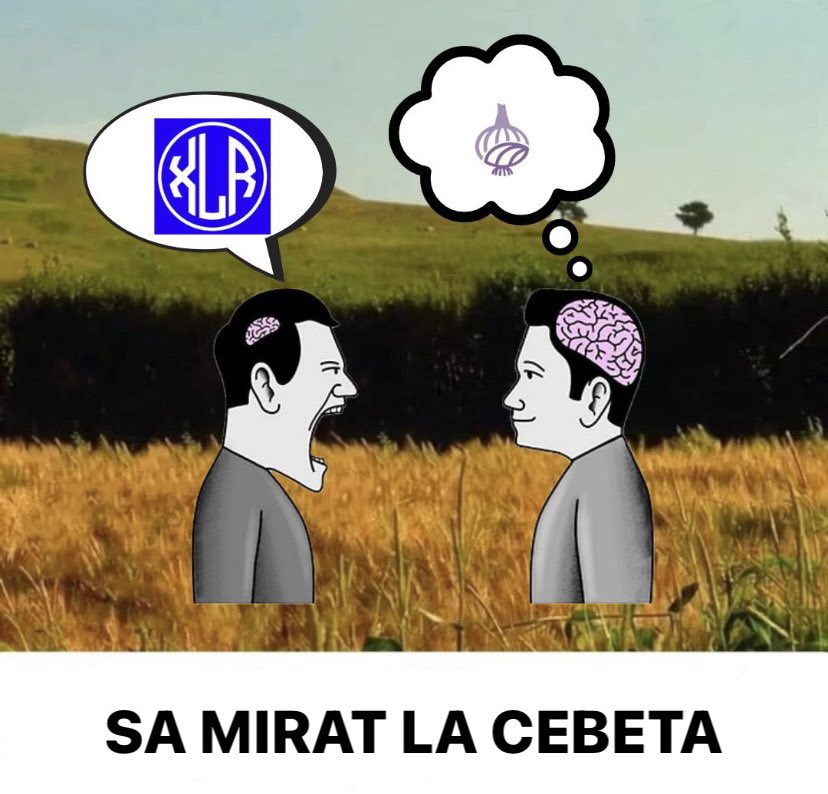 la cebette (@lacebeta) on Twitter photo 