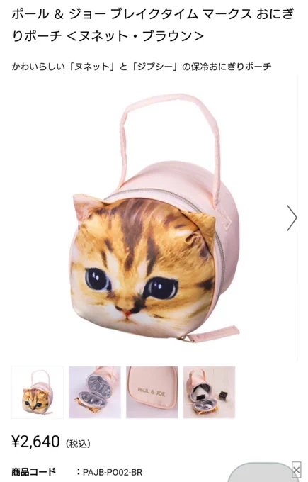 猫ミームを見すぎたせいでポールアンドジョーがそれっぽく見える 