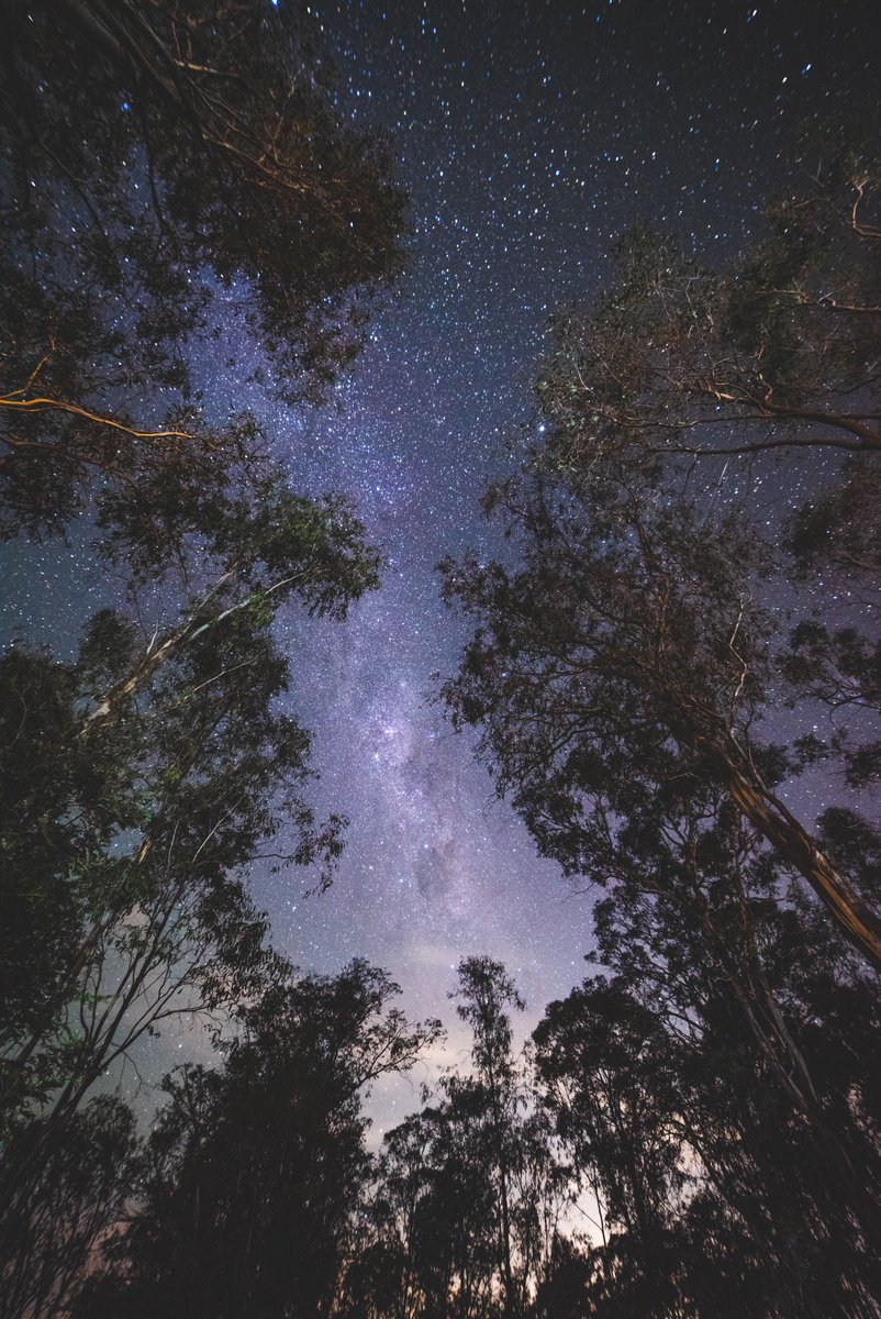 Dean Hanson tweet media