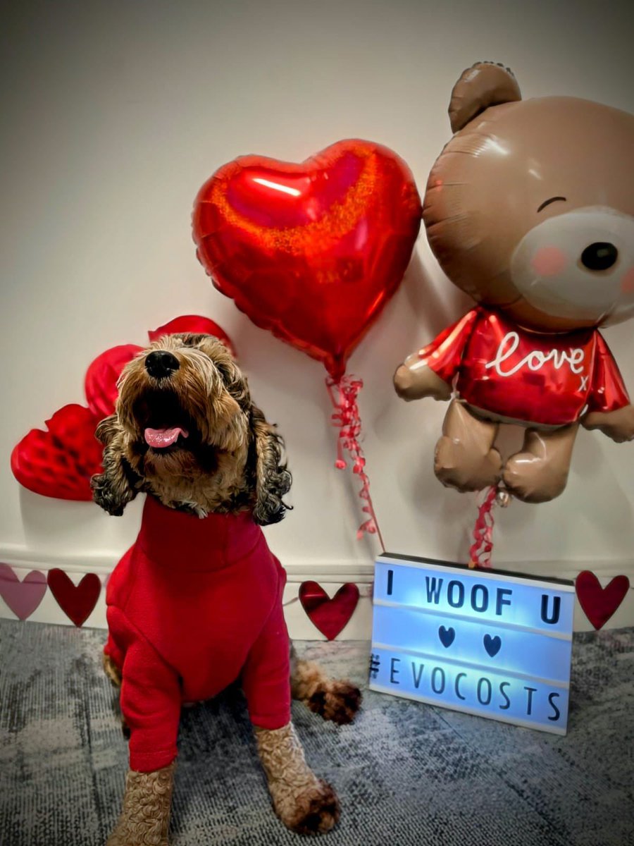 Evolution Costs Ltd tweet media