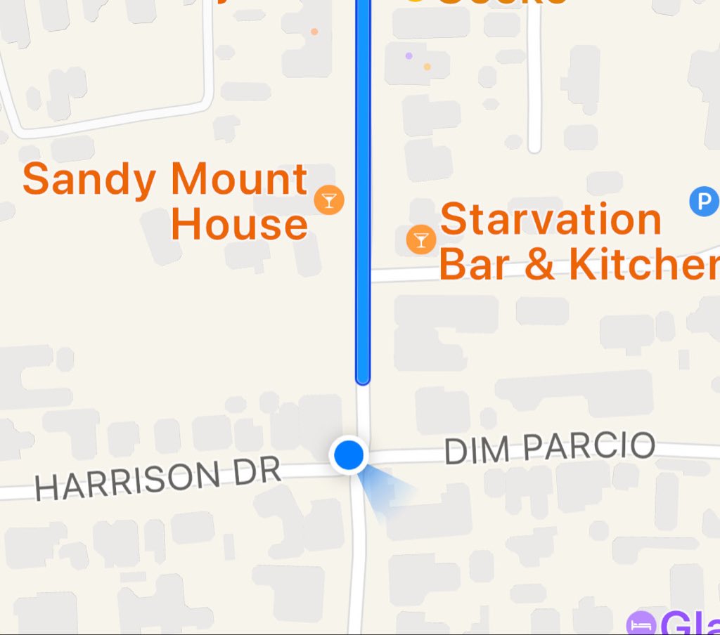 Looks like the AI at Apple Maps doesn’t know what Dim Parcio means…