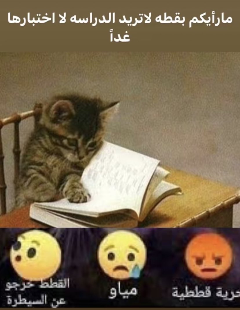 ij0ji1's tweet photo. 😿 https://t.co/5Qg0VlU8uS