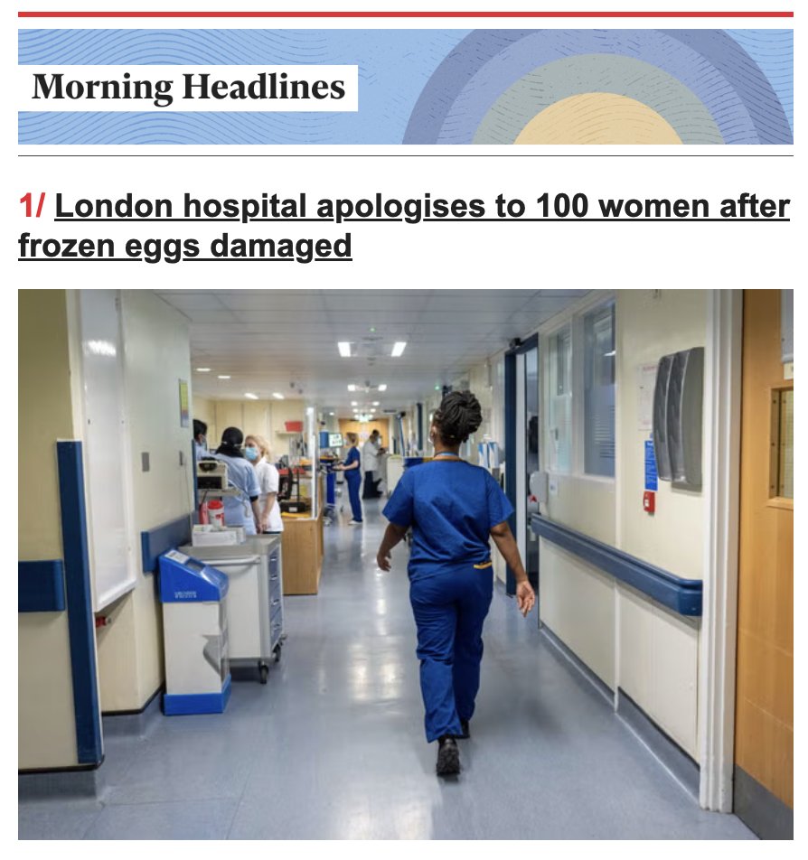 The Independent tweet media