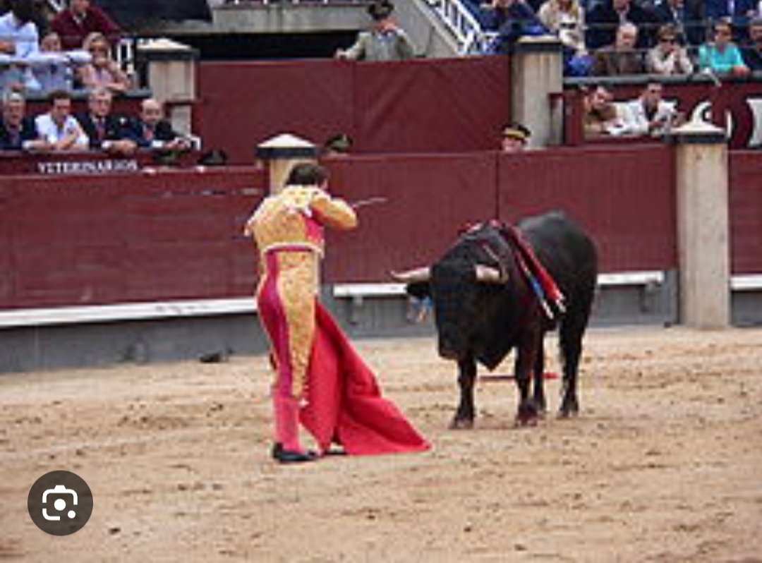 jm_clavero's tweet photo. Ara que el TEDH ha avalat prohibir el sacrifici d'animals pels  rituals halal i kosher, quan avalarà prohibir-ne el sacrifici pel ritual espanyol que també els mata sense estabornir-los? https://t.co/jOYb7BmCKe
