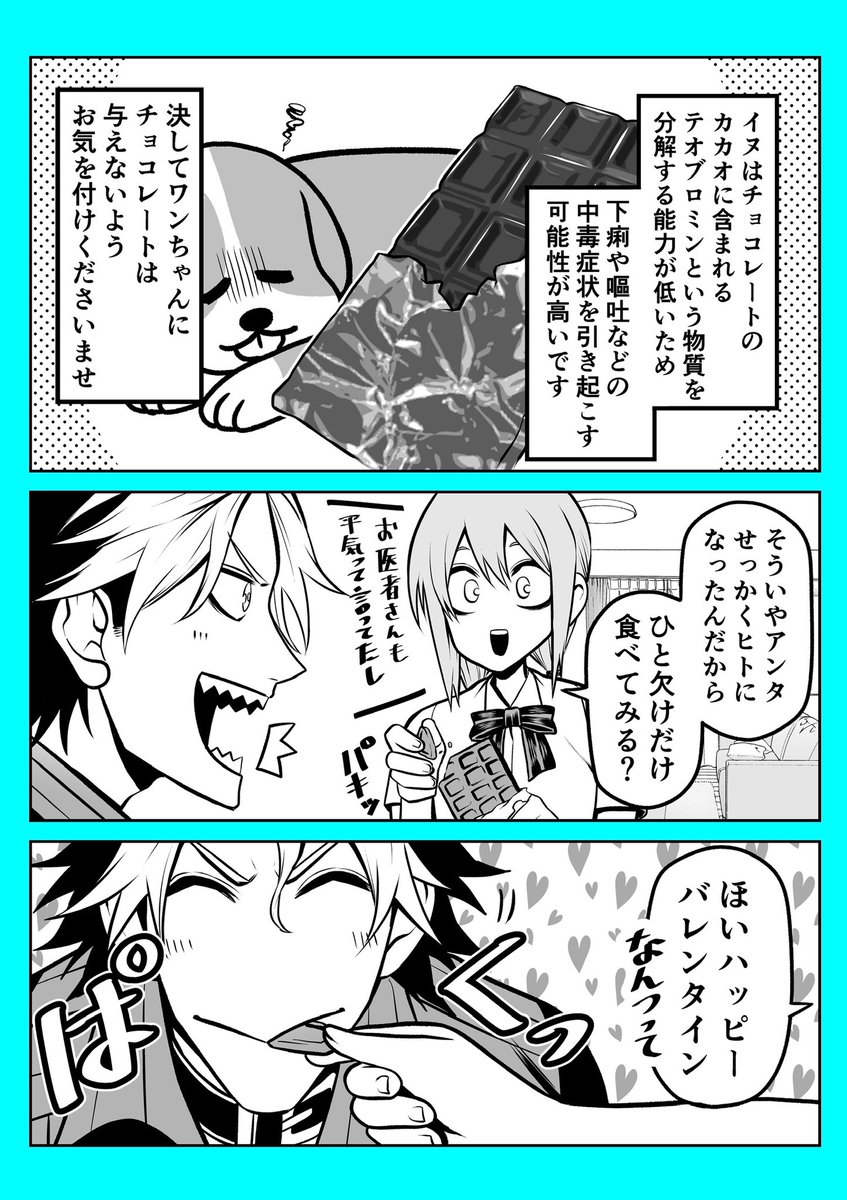 <おまけ>バレンタインデー。
#ポン太がヒトになりまして 