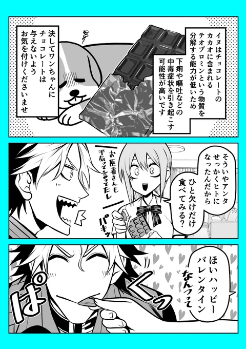 <おまけ>バレンタインデー。
#ポン太がヒトになりまして 