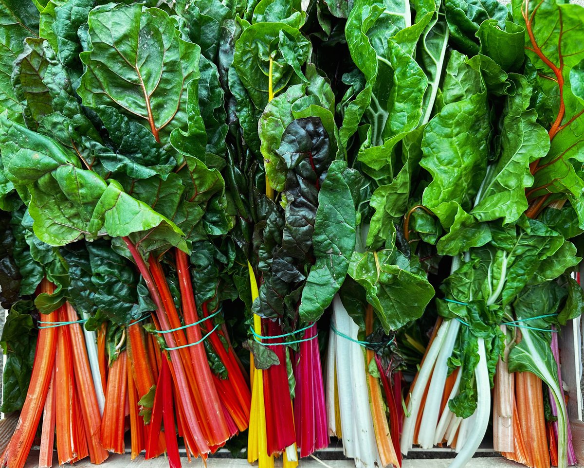 Embrace the colors of the rainbow 🌈 with vibrant and nutritious rainbow chard! From salads to stir-fries, this leafy green adds a pop of colour and flavour to any dish. Plus, it’s packed with vitamins and antioxidants to keep you feeling your best. #HealthyEating #RainbowChard
