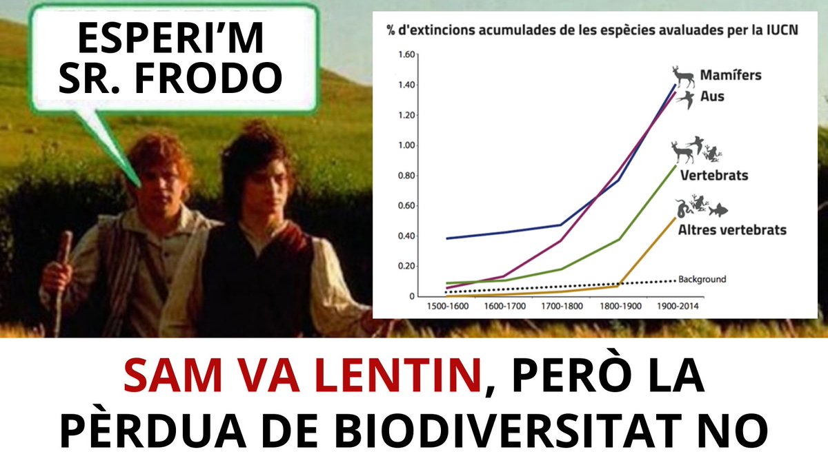 RitmeNatura tweet media