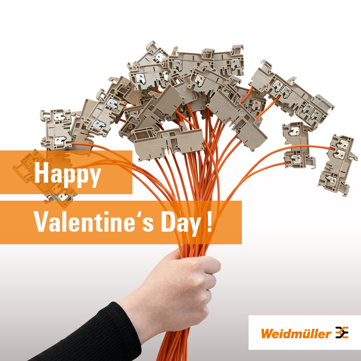 WeidmullerUK's tweet photo. Happy Valentine's Day from Weidmuller UK! 💕 We're spreading love and innovation today and every day. Wishing you a day filled with creativity and connection. #Weidmuller #ValentinesDay #EngineeringLove https://t.co/UxQiih7b11