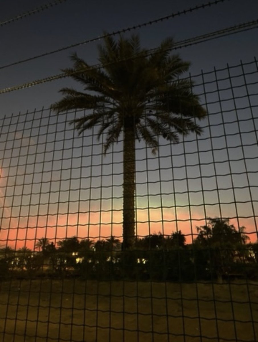 PinkTaxiRunner tweet media