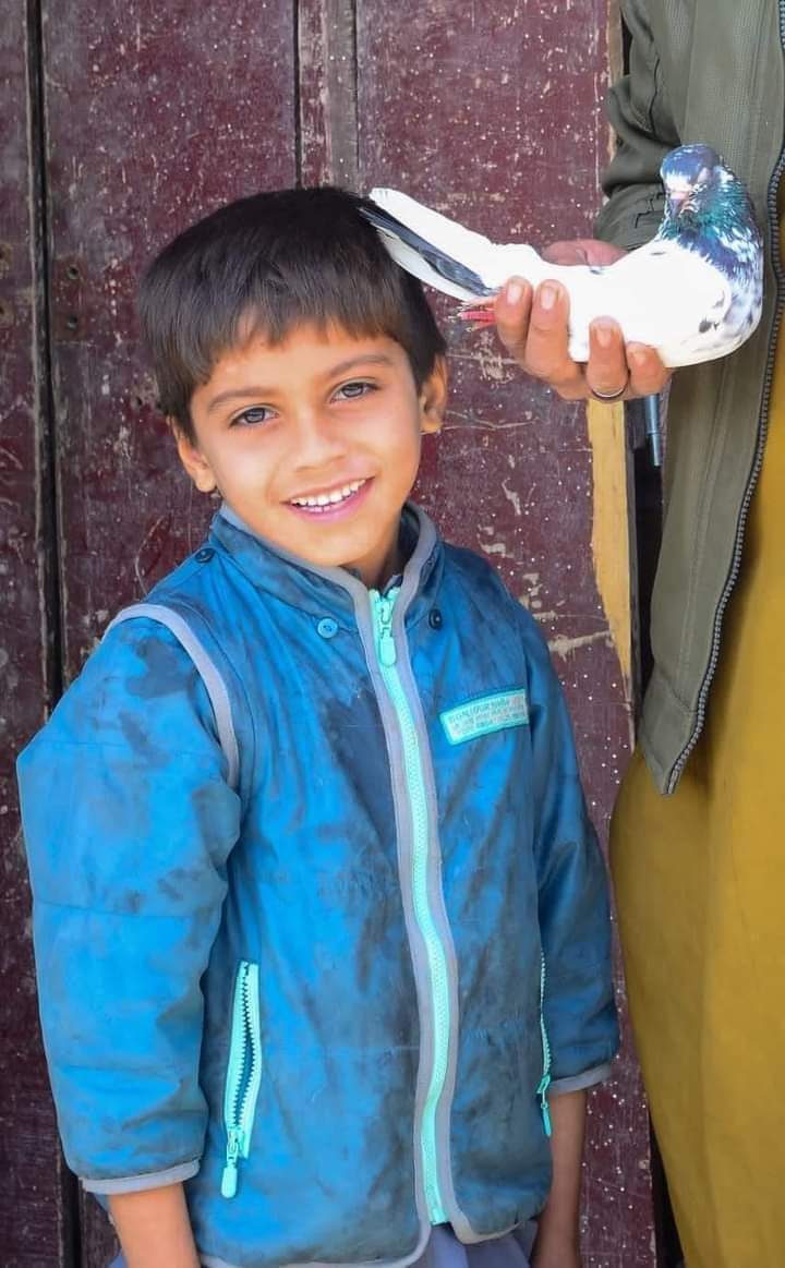 ایک اور دن ایک اور ظلم! سندھ کے ضلعہ خیرپور کی تحصیل کوٹ ڈیجی میں چند روز قبل لاپتہ ہونے والا سات سالہ بچہ علی رضا زیادتی کے بعد قتل، لاش قریبی کھیتوں سے برآمد۔ تمام پاکستانیوں سے اپیل ہے کہ اس معصوم بچے کے لیے بھرپور آواز اٹھائیں۔
#justiceforAliRaza